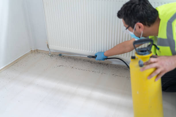 Best Pest Control Near Me  in Millersville, PA
