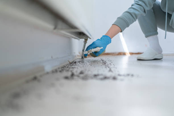 Best Pest Removal Services  in Millersville, PA